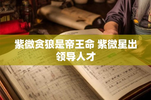 紫微贪狼是帝王命 紫微星出领导人才