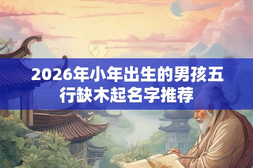 2026年小年出生的男孩五行缺木起名字推荐