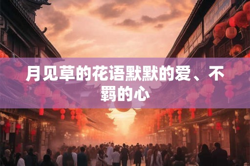 月见草的花语默默的爱、不羁的心 月见草的花语默默的爱、不羁的心