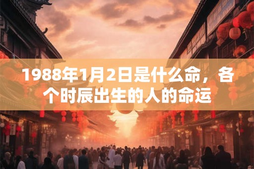 1988年1月2日是什么命，各个时辰出生的人的命运