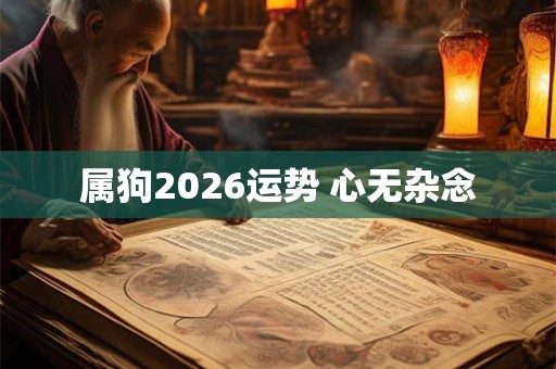 属狗2026运势 心无杂念