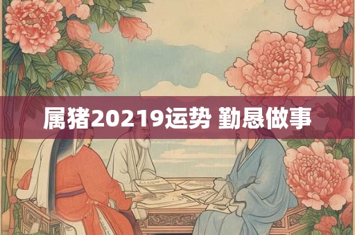 属猪20219运势 勤恳做事