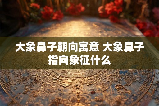 大象鼻子朝向寓意 大象鼻子指向象征什么
