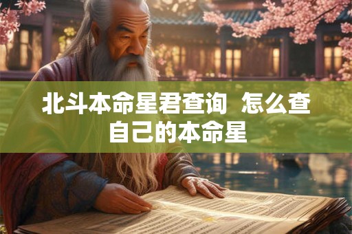 北斗本命星君查询  怎么查自己的本命星