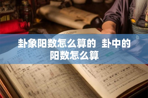 卦象阳数怎么算的  卦中的阳数怎么算