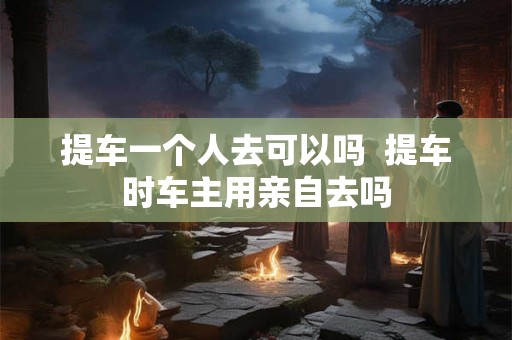 提车一个人去可以吗  提车时车主用亲自去吗