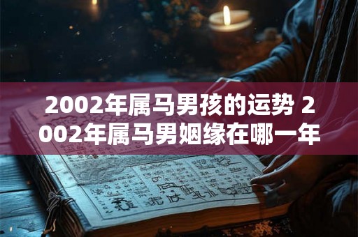 2002年属马男孩的运势 2002年属马男姻缘在哪一年 2002年属马男孩的运势 2002年属马男姻缘在哪一年
