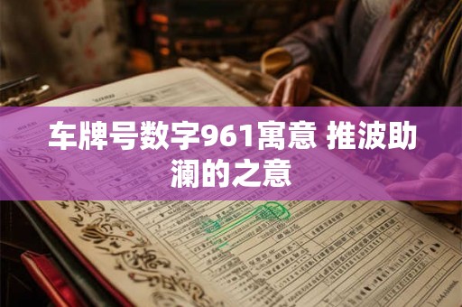车牌号数字961寓意 推波助澜的之意