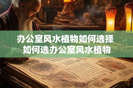 办公室风水植物如何选择 如何选办公室风水植物 办公室风水植物如何选择 如何选办公室风水植物