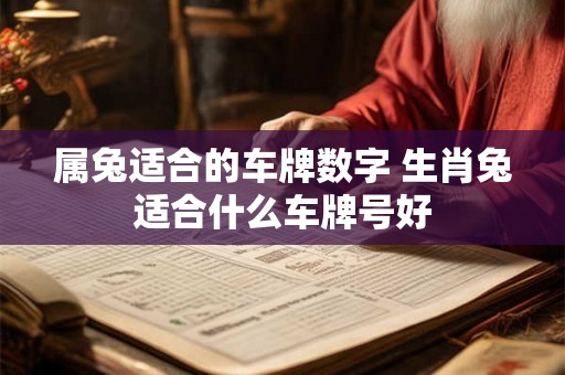 属兔适合的车牌数字 生肖兔适合什么车牌号好