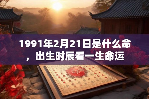 1991年2月21日是什么命，出生时辰看一生命运