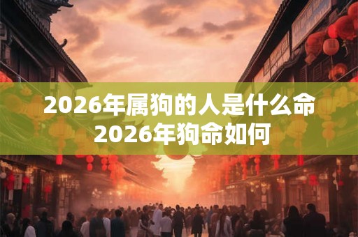 2026年属狗的人是什么命 2026年狗命如何