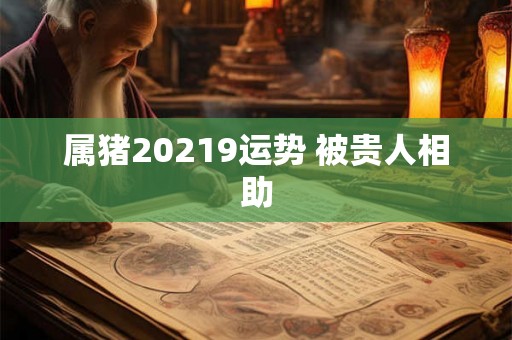 属猪20219运势 被贵人相助