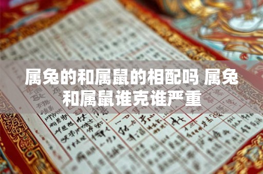 属兔的和属鼠的相配吗 属兔和属鼠谁克谁严重