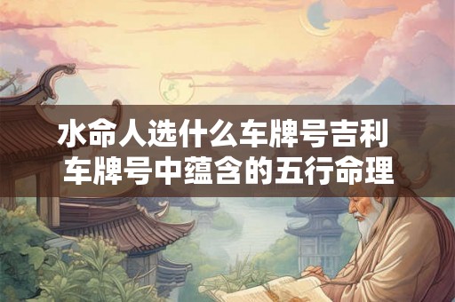 水命人选什么车牌号吉利 车牌号中蕴含的五行命理 水命人选什么车牌号吉利 车牌号中蕴含的五行命理