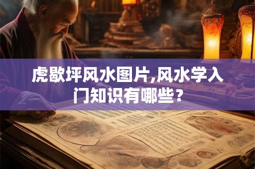 虎歇坪风水图片,风水学入门知识有哪些？