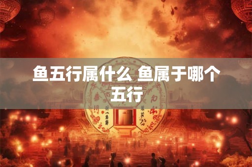 鱼五行属什么 鱼属于哪个五行