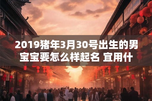 2019猪年3月30号出生的男宝宝要怎么样起名 宜用什么字