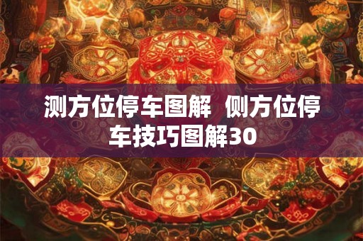 测方位停车图解  侧方位停车技巧图解30
