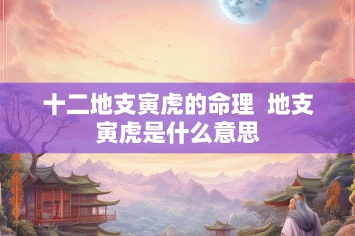 十二地支寅虎的命理  地支寅虎是什么意思