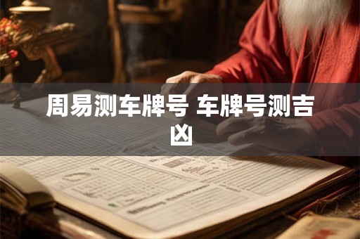 周易测车牌号 车牌号测吉凶