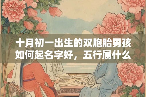 十月初一出生的双胞胎男孩如何起名字好，五行属什么？