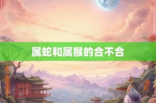 属蛇和属猴的合不合