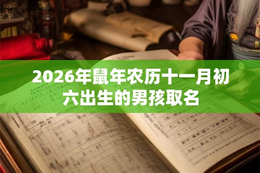 2026年鼠年农历十一月初六出生的男孩取名 2026年鼠年农历十一月初六出生的男孩取名