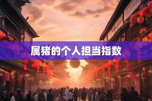 属猪的个人担当指数