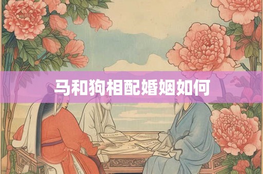 马和狗相配婚姻如何 马和狗相配婚姻如何