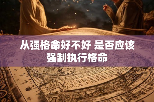 从强格命好不好 是否应该强制执行格命
