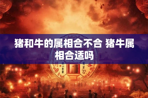 猪和牛的属相合不合 猪牛属相合适吗