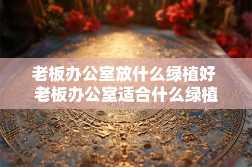 老板办公室放什么绿植好 老板办公室适合什么绿植