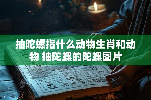 抽陀螺指什么动物生肖和动物 抽陀螺的陀螺图片