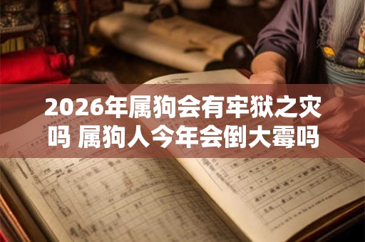 2026年属狗会有牢狱之灾吗 属狗人今年会倒大霉吗