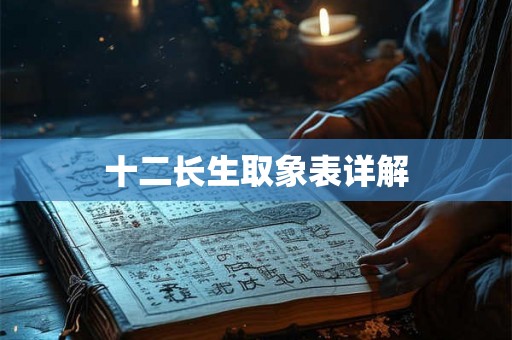 十二长生取象表详解