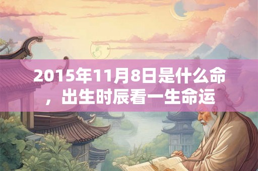 2015年11月8日是什么命，出生时辰看一生命运
