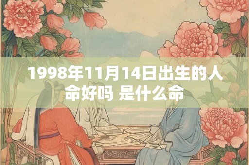 1998年11月14日出生的人命好吗 是什么命