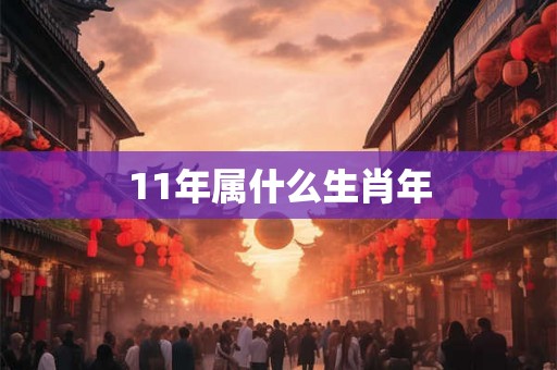 11年属什么生肖年