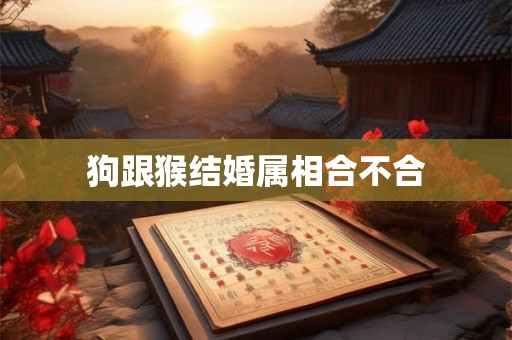 狗跟猴结婚属相合不合