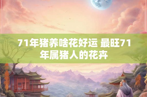 71年猪养啥花好运 最旺71年属猪人的花卉