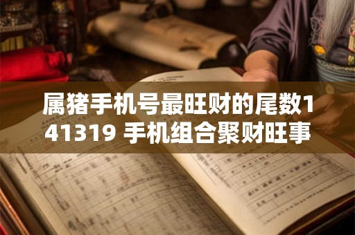 属猪手机号最旺财的尾数141319 手机组合聚财旺事业