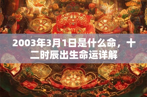 2003年3月1日是什么命，十二时辰出生命运详解