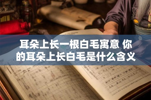 耳朵上长一根白毛寓意 你的耳朵上长白毛是什么含义 耳朵上长一根白毛寓意 你的耳朵上长白毛是什么含义