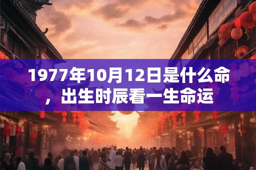 1977年10月12日是什么命，出生时辰看一生命运