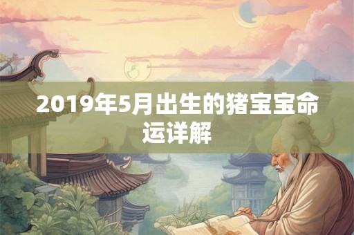 2019年5月出生的猪宝宝命运详解