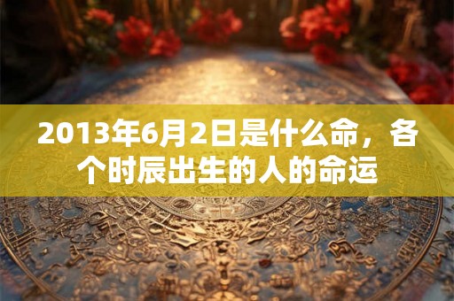 2013年6月2日是什么命,各个时辰出生的人的命运 2013年6月2日是什么命,各个时辰出生的人的命运