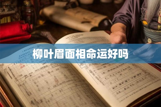柳叶眉面相命运好吗