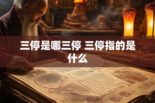 三停是哪三停 三停指的是什么