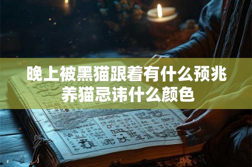 晚上被黑猫跟着有什么预兆 养猫忌讳什么颜色
